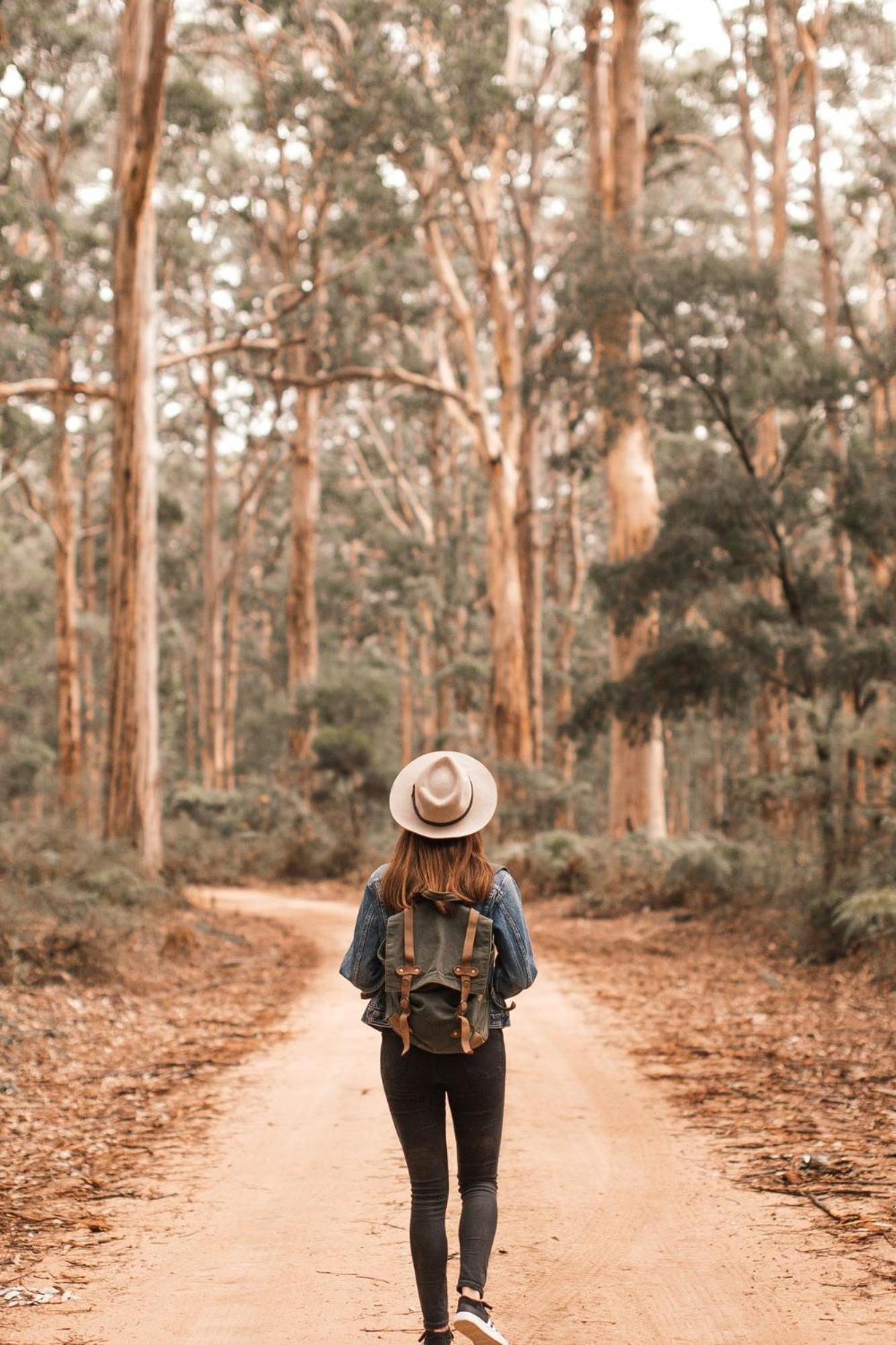 Zoomers Aan Het Bos كاستريكوم المظهر الخارجي الصورة